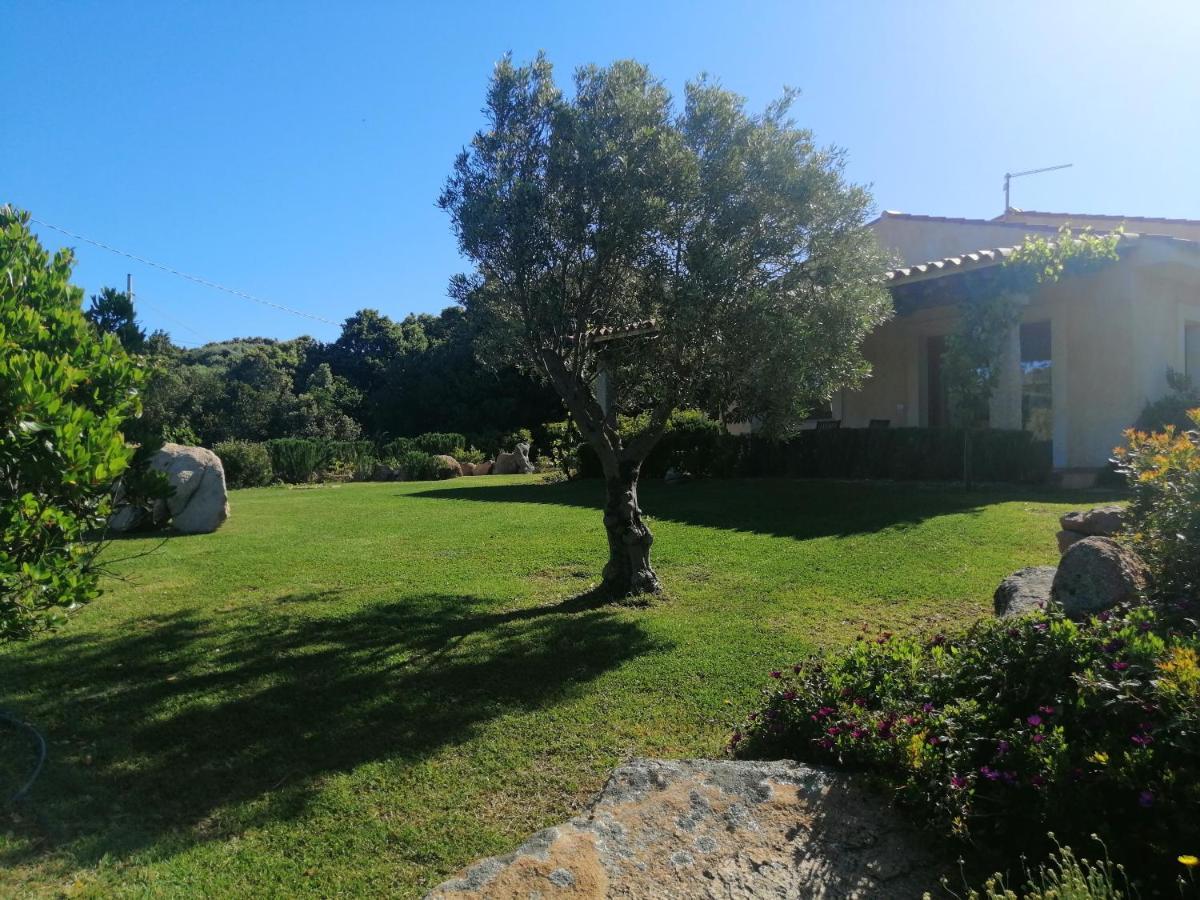 Agriturismo Fioredda Aglientu Esterno foto